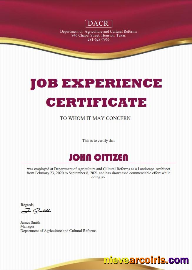 USA Job Experience Cert Template