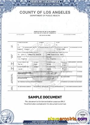 USA Los Angeles Certificate Of Live Birth Template