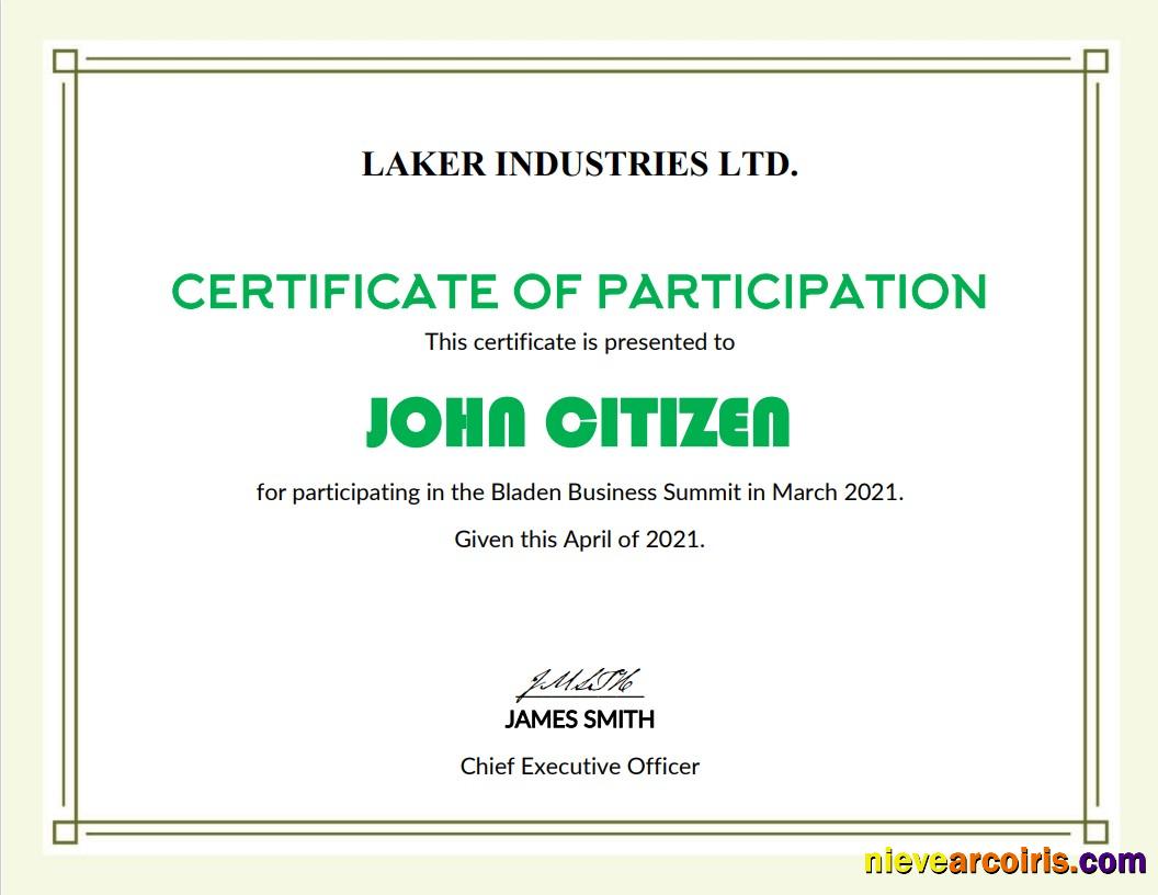 USA Modern Participation Cert Sample
