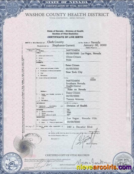 Professional USA Nevada State Birth Certificate Template In PSD Format