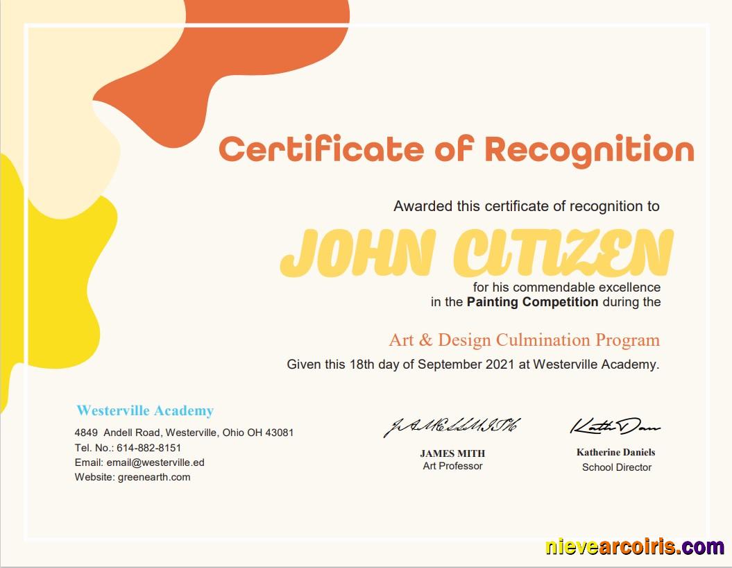 USA Painting Award Cert Photolook