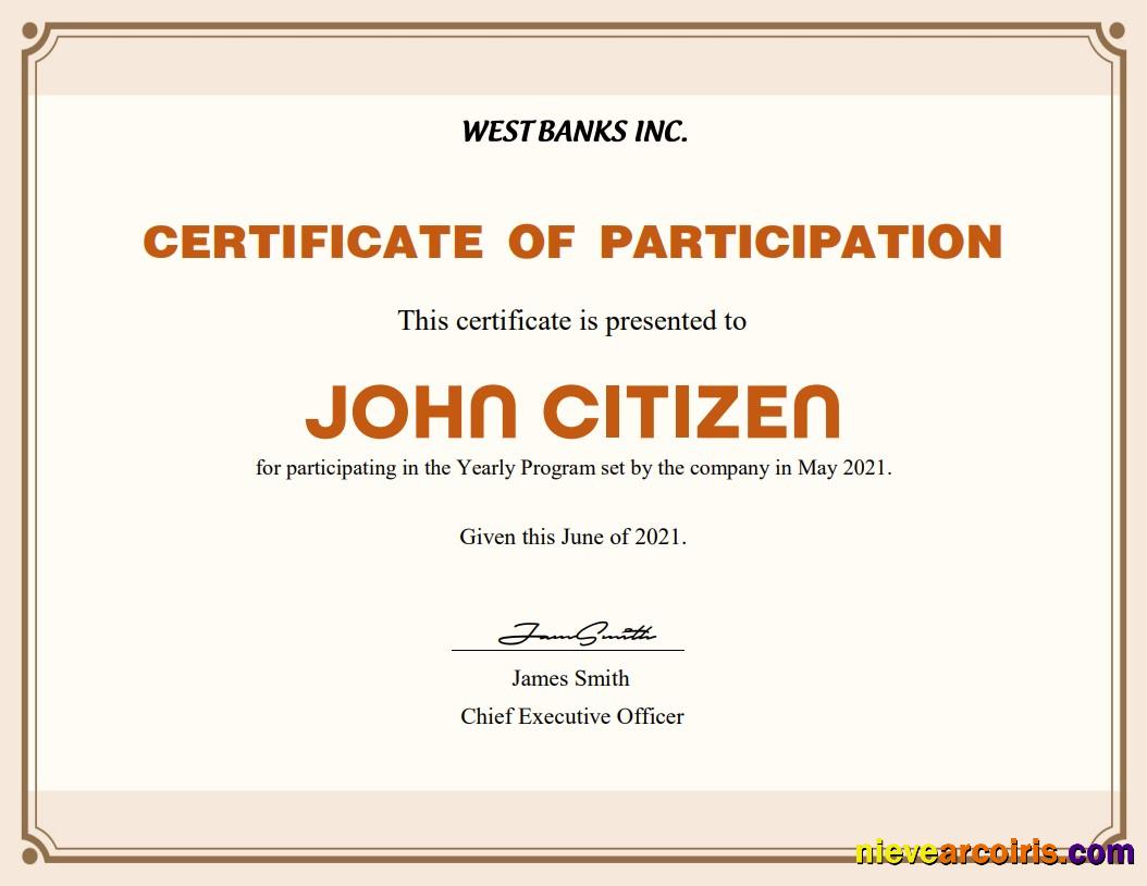 USA Participation Cert Version 2 Template