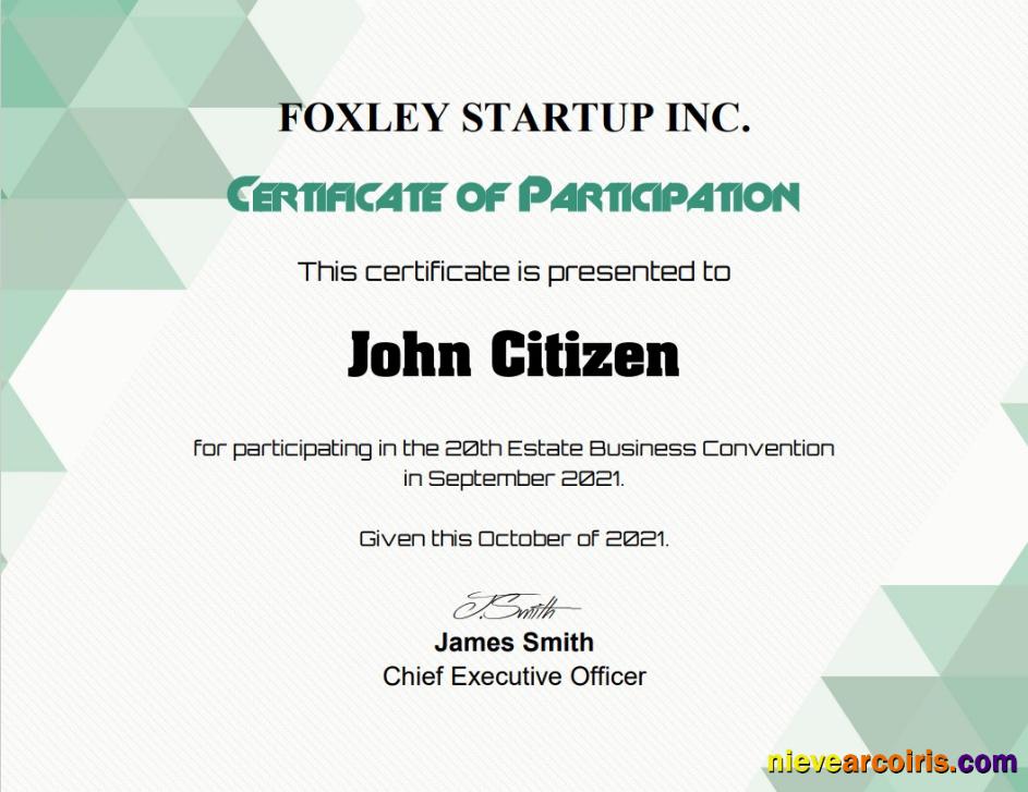 USA Participation Cert Template