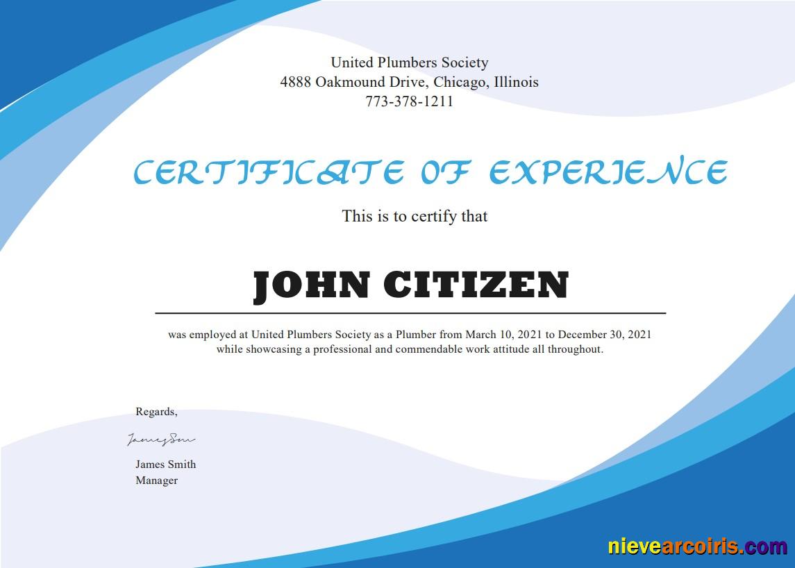USA Plumbing Experience Cert Photolook