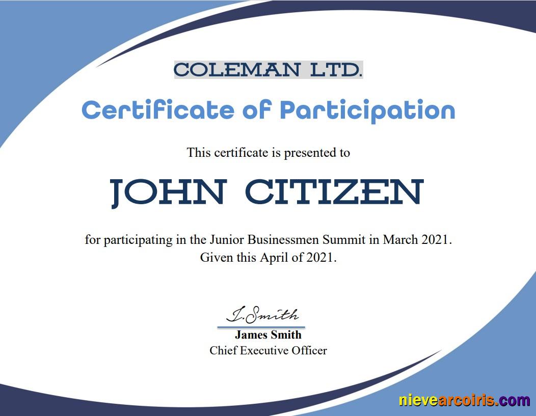 USA Program Participation Cert Sample