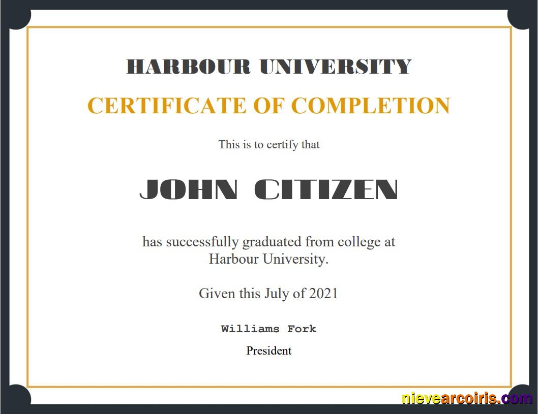 USA Recognition Cert Template