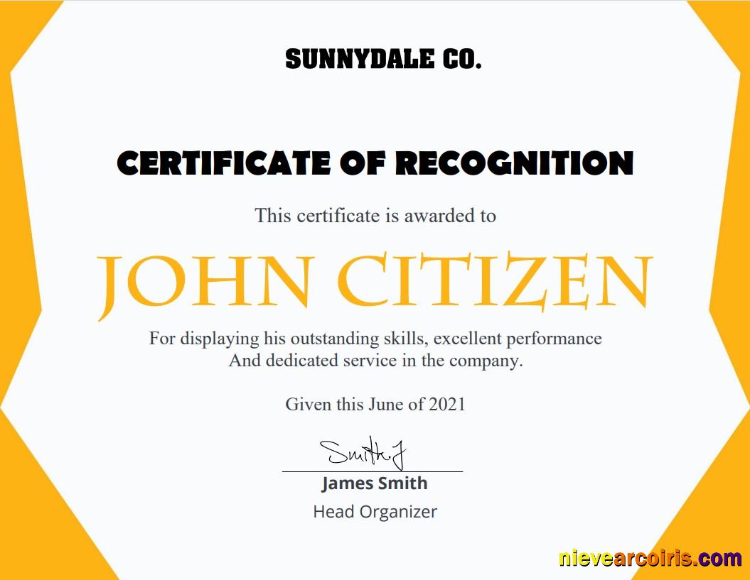 USA Recognition Certificate Sample