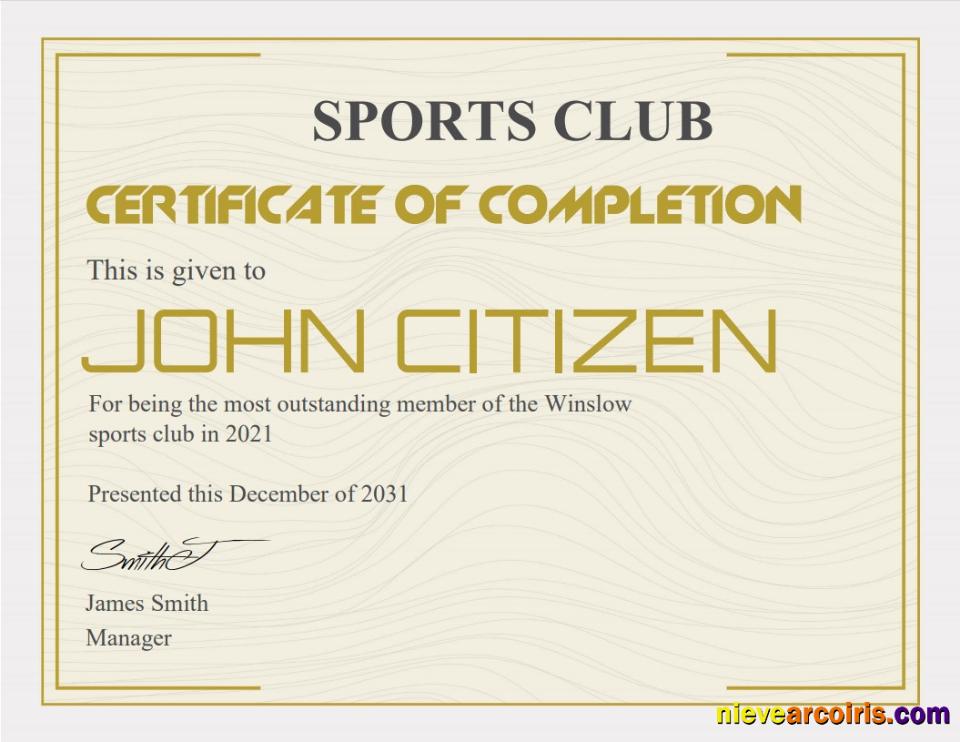 USA Recognition Cert Version 3 Photolook