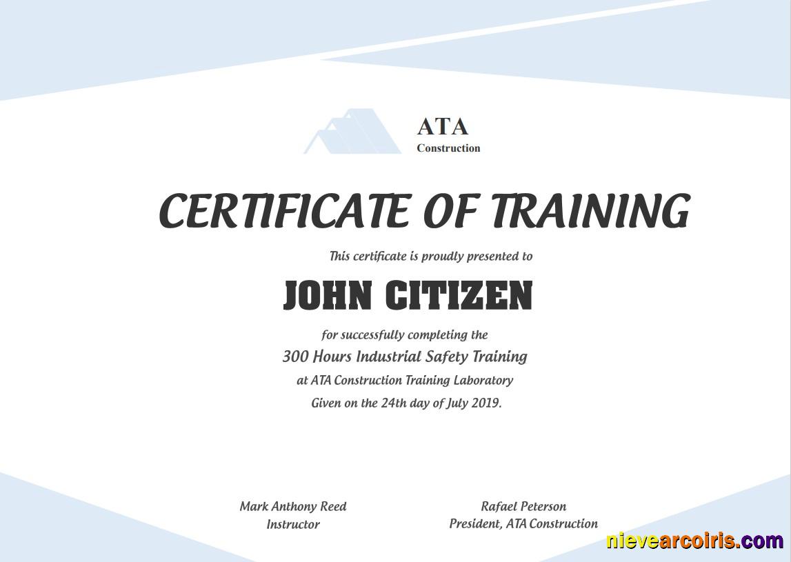 USA Safety Training Cert Template