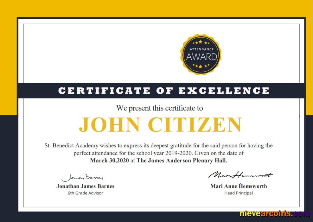 USA School Attendance Cert Sample