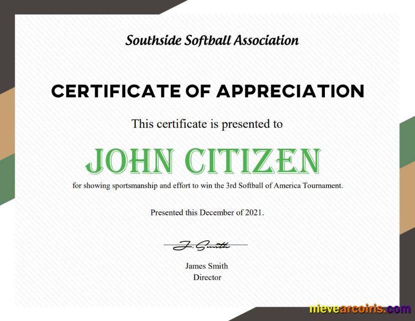 USA Softball Certificate Sample