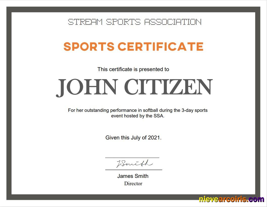 USA Sports Certificate Photolook