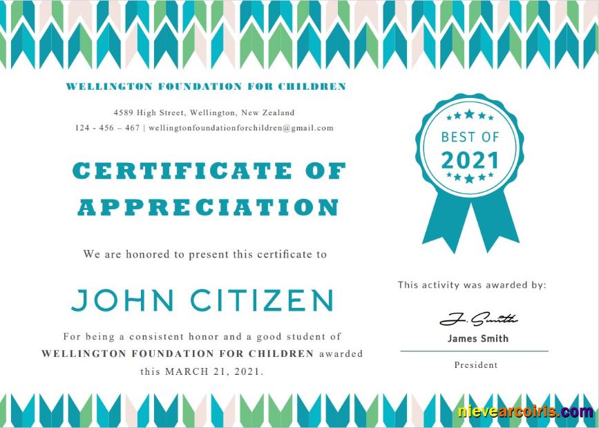 USA Student Appreciation Certificate Template