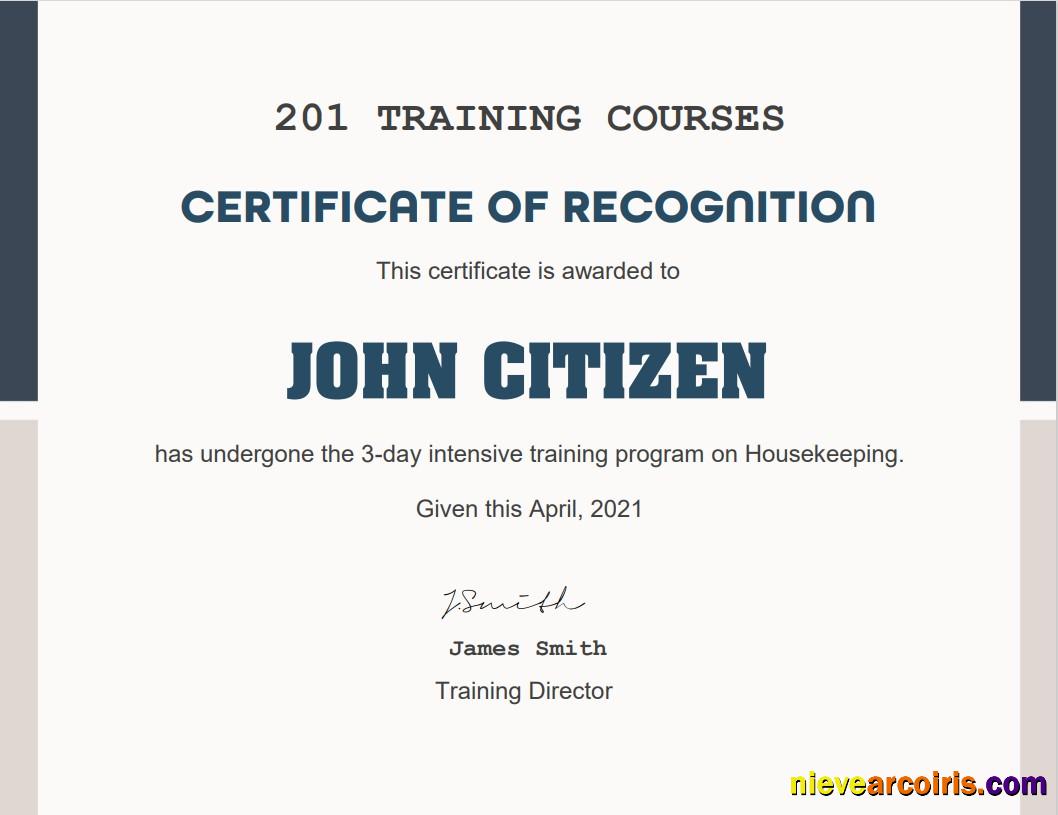 USA Training Course Cert Photolook