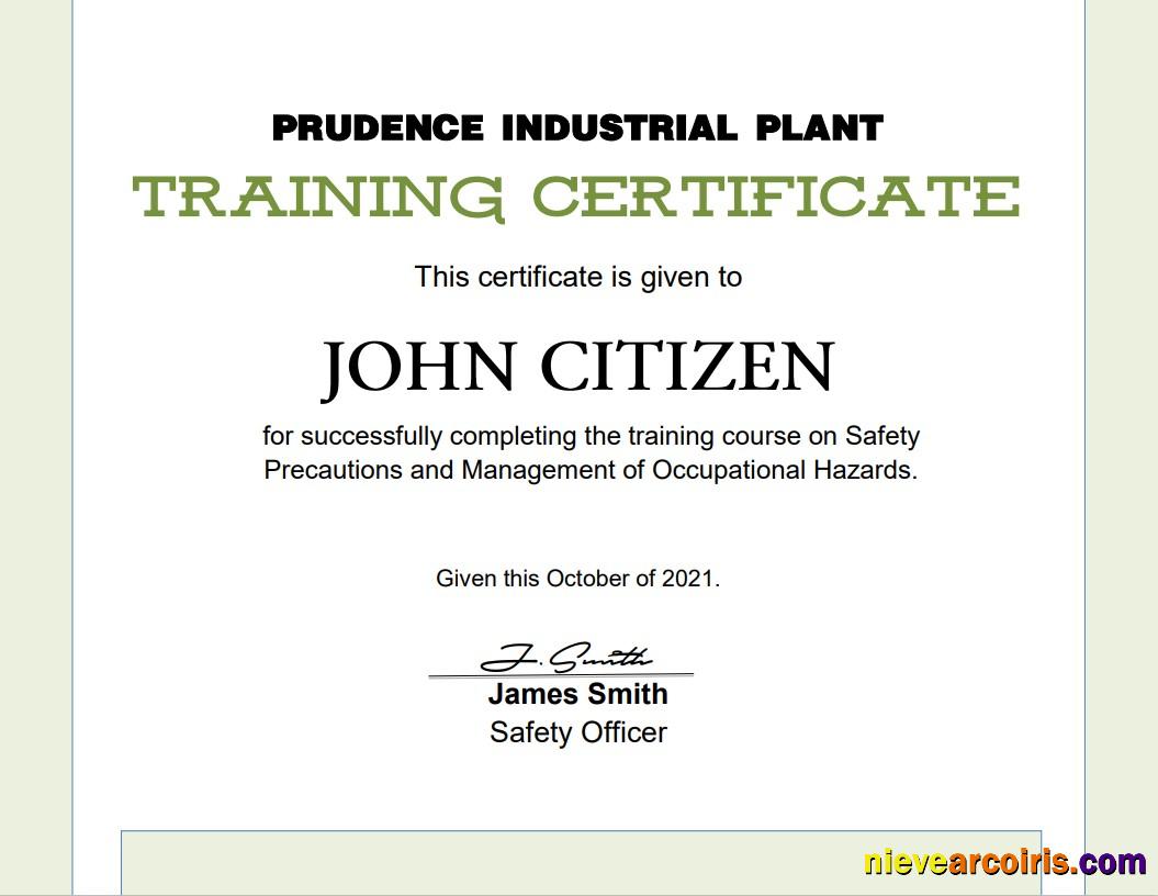 Premium USA Training Certificate Template In Word And PDF Format, Version 2
