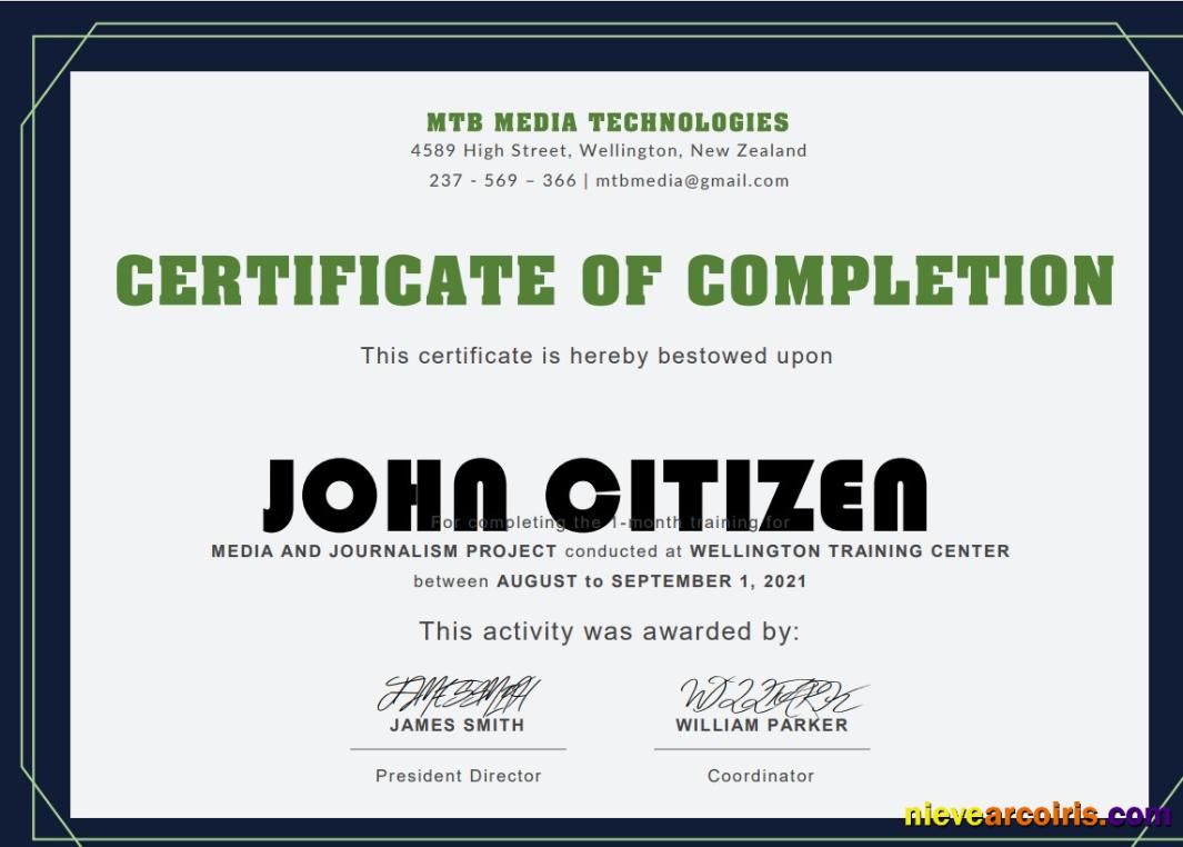 Premium USA Training Certificate Template In Word And PDF Format