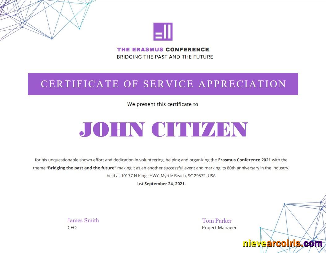 USA Volunteer Certificate Sample