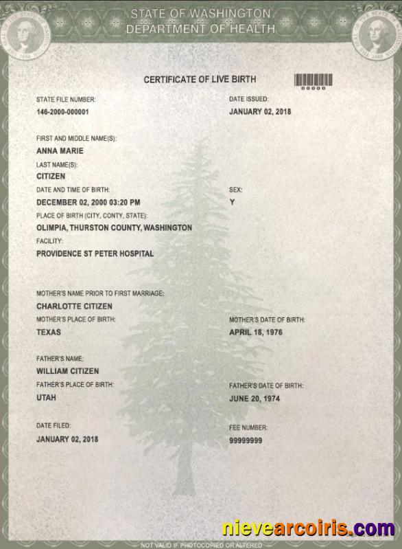 Professional USA Washington State Birth Certificate Template In PSD Format