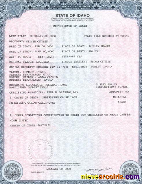 Realistic USA State Idaho Death Certificate Template In PSD Format