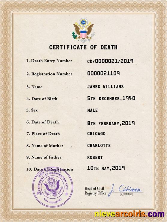 Professional USA Vital Record Death Certificate PSD Template