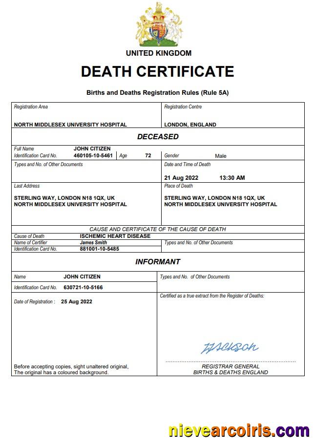 Professional United Kingdom Vital Record Death Certificate Word And PDF Template