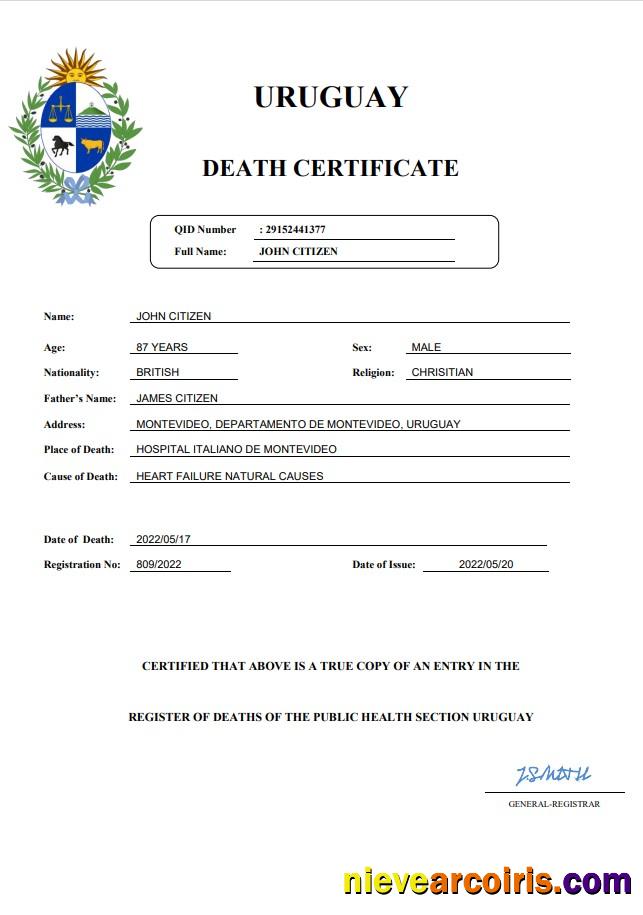 Editable Uruguay Death Certificate Word And PDF Template