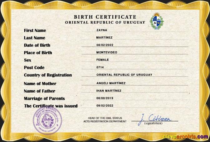 Premium Uruguay Vital Record Birth Certificate PSD Template
