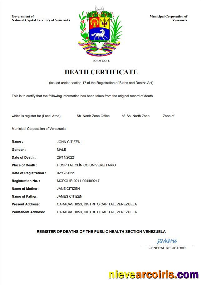 Realistic Venezuela Vital Record Death Certificate Word And PDF Template