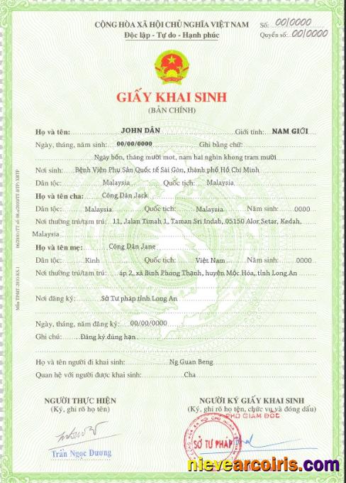 Realistic Vietnam Birth Ceetificate Template In PSD Format