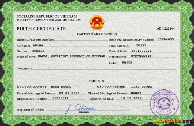 Realistic Vietnam Birth Certificate PSD Template