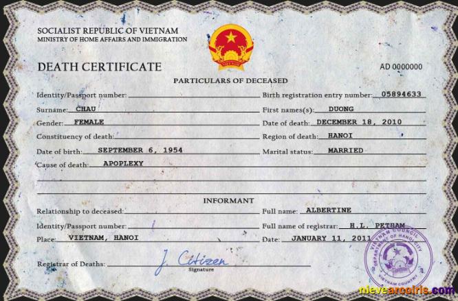 Professional Vietnam Death Certificate PSD Template