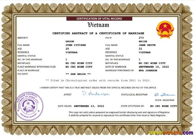 Realistic Vietnam Marriage Certificate Word And PDF Template