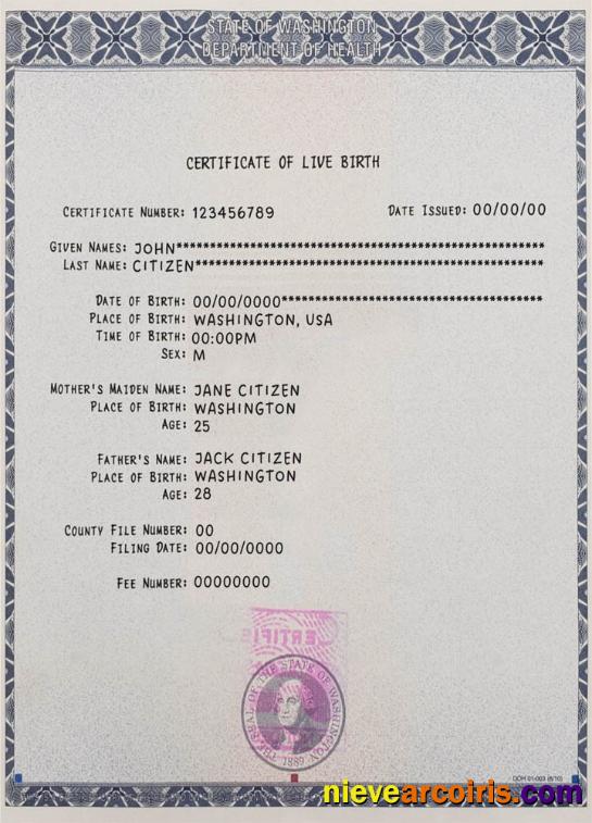 Washington Certificate Of Live Birth Preview