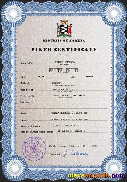 Realistic Zambia Vital Record Birth Certificate PSD Template