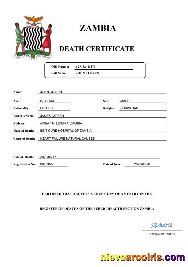 Professional Zambia Vital Record Death Certificate Word And PDF Template