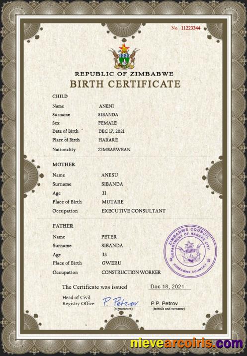 Premium Zimbabwe Vital Record Birth Certificate PSD Template