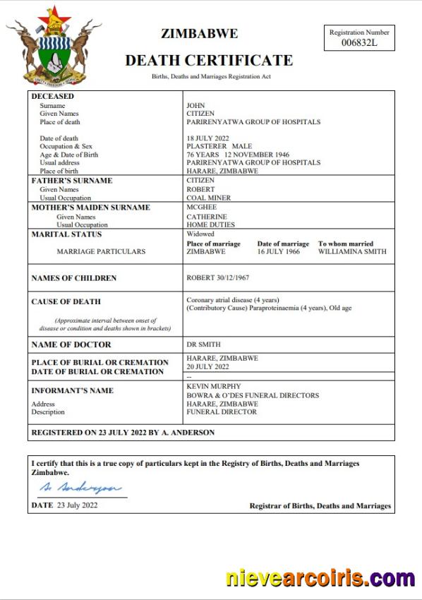 Professional Zimbabwe Vital Record Death Certificate Word And PDF Template