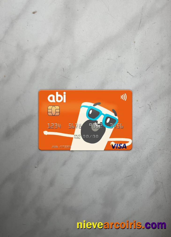Albania American Bank Of Investments (ABI) Visa Card Photolook Front Photolook