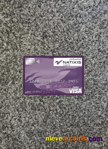 Algeria Natixis Algerie Bank Visa Card Photolook Front Template