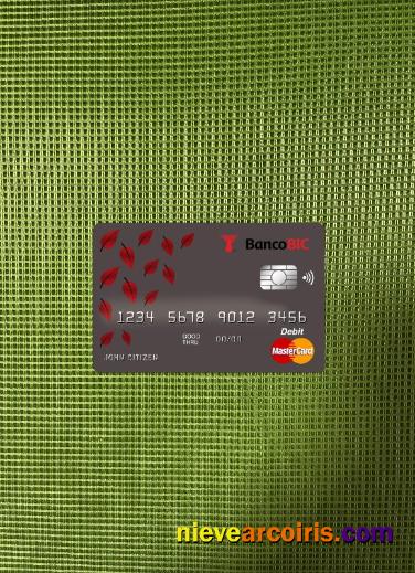 Angola Banco BIC Bank Master Card Photolook Front Template