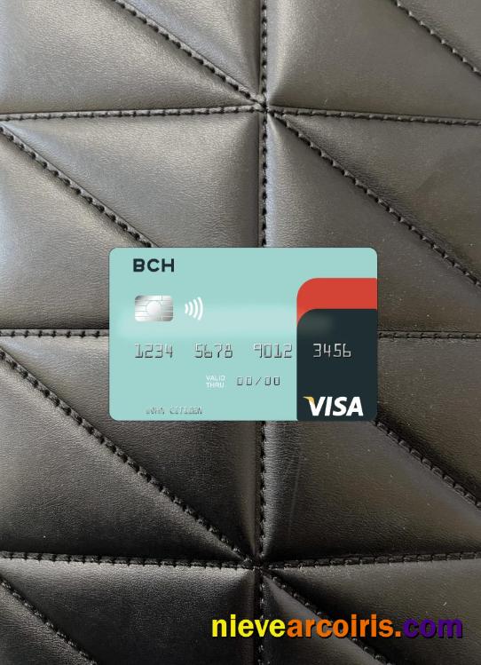 Angola Banco Comercial Do Huambo Visa Card Photolook Front Photolook