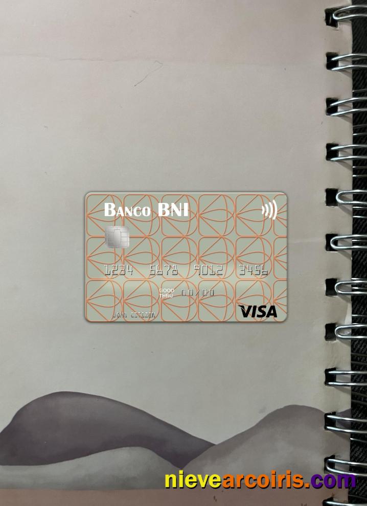 Angola Banco De Negócios Internacional Visa Card Photolook Front Template