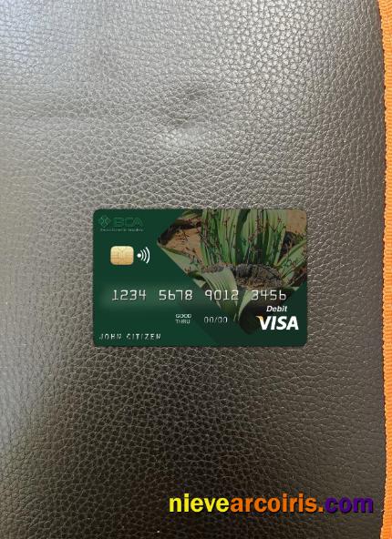Angola Comercial Bank Visa Card Photolook Front Template