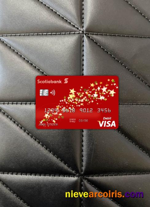 Bahamas Scotia Bank Visa Card Photolook Front Template