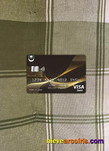 Bulgaria United Bank Visa Card Photolook Front Sample