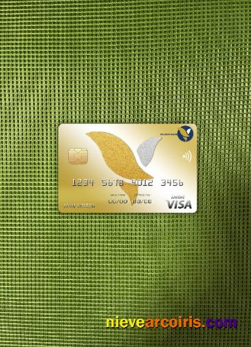 Cambodia Acleda Bank Visa Card Photolook Front Preview