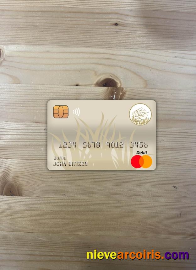 Central African Republic Bank Of Central African States (BEAC) Bank Mastercard Photolook Front Preview