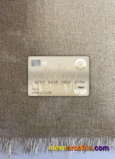 Central African Republic Bank Of Central African States (beac) Bank Visa Debit Card Photolook Front Photolook
