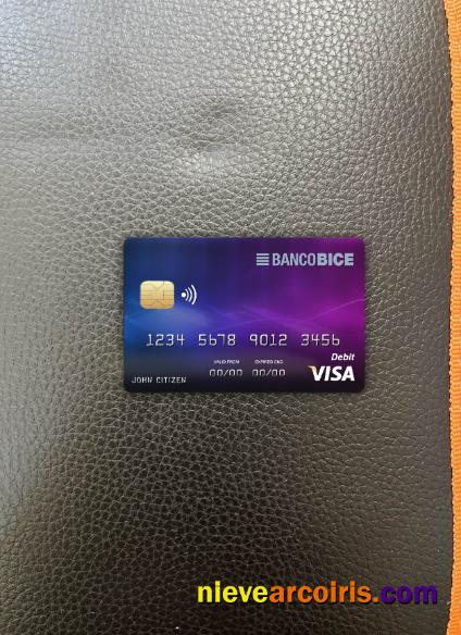 Chile BICE Bank Visa Card Photolook Front Preview