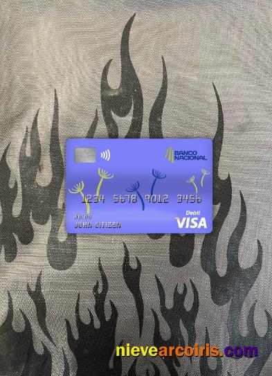 Costa Rica Banco Nacional Bank Visa Card Photolook Front Preview